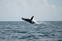 unsplash_G1JCW7w9T6U_reunion island.jpg.jpg.webp